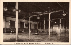 Postcard Gymnasium at State Normal School in Geneseo, New York~2533