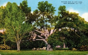 Louisiana New Orleans City Park Suicide Oak 1943