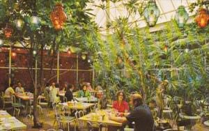 Florida Clearwater Kapok Tree Inn Patio Dining 1975