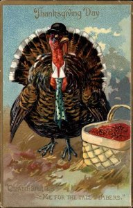 Tuck Comic Thanksgiving Turkey in Bowler Hat and Tie c1910 Vintage Postcard
