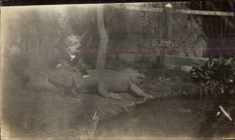 Boy Sitting on Alligator Studio Prop c1910 Photo Photograph NON-POSTCARD