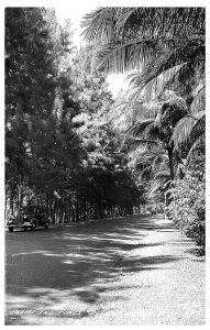 Florida RPPC Postcard Delray Beach, Florida