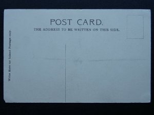 Devon 2 x EXETER CATHEDRAL Interior & Interior East Nave c1902 UB Postcard