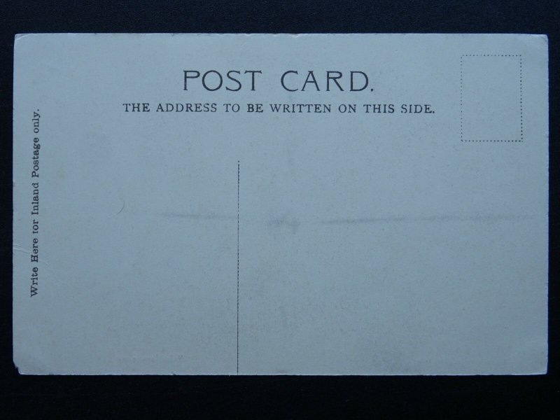 Devon 2 x EXETER CATHEDRAL Interior & Interior East Nave c1902 UB Postcard