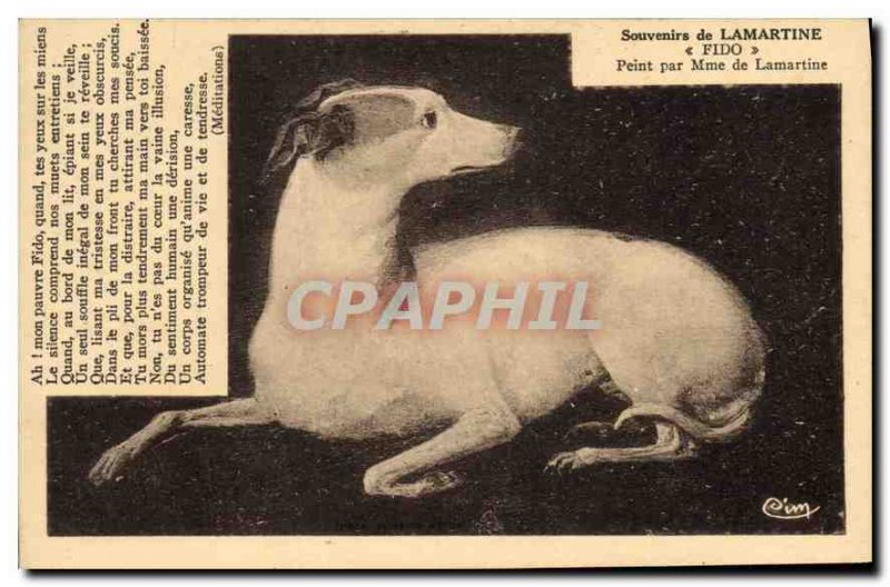 Old Postcard Remembrance Lamartine Fido Dog