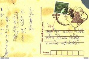 India Postal Stationery Tiger 15 Daguin cancel Jaipur