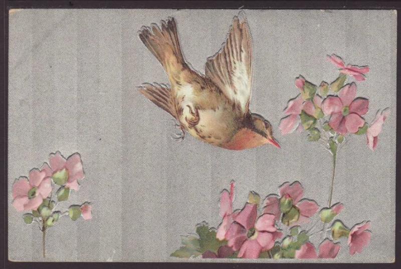 Bird,Flowers Postcard 