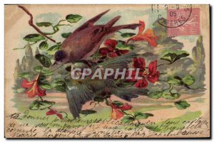 Old Postcard Birds
