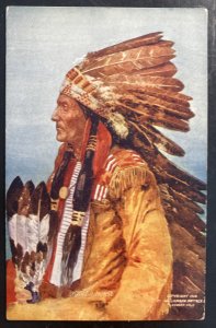 Mint Usa Picture Postcard Native American Spotted Horse Indian