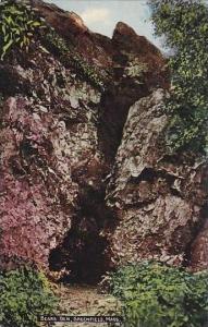 Massachustetts Greenfield Bears Den