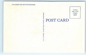 Night Main Street St Columbia South Carolina SC Old Cars Vintage Postcard D06