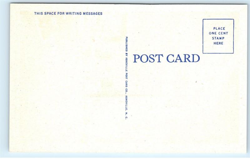 Night Main Street St Columbia South Carolina SC Old Cars Vintage Postcard D06