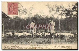 Old Postcard Folklore Landes A moment of rest Sheep
