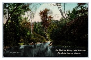 Skeleton River Muskoka Lakes Ontario Canada UNP DB Postcard T5