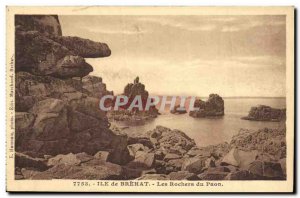 Old Postcard Ile de Brehat The Rocks Peacock