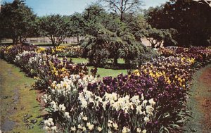 Presby Memorial Iris Gardens Mountainside Park - Montclair, New Jersey NJ