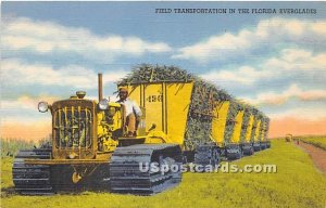 Field Transportation - Everglades, Florida FL  