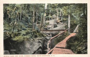 Vintage Postcard Elysian Land Lost River Kinsman White Mountains New Hampshire