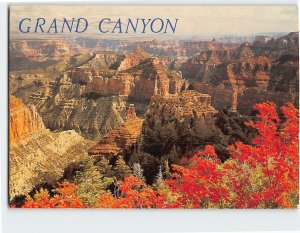 Postcard Autumn on the North Rim Grand Canyon National Park Arizona USA