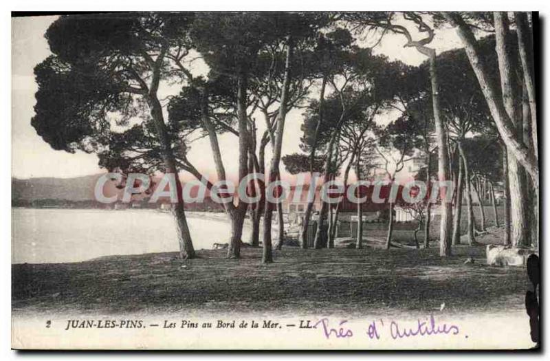 Old Postcard Juan Les Pins Les Pins At The Edge Of The Sea