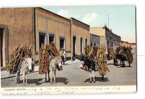 Mexico Postcard 1901-1907 Loaded Burros Street Scene