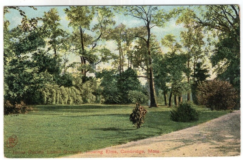 Cambridge, Mass, James Russell Lowell Grounds, showing Elms