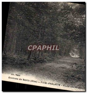 Old Postcard Environs de Senlis Foret d & # 39Halatte Route great oaks