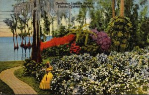 Florida Cypress Gardens Gardenia Lined Path 1949 Curteich