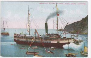 Steamer Arrival Catalina Island California 1910c postcard