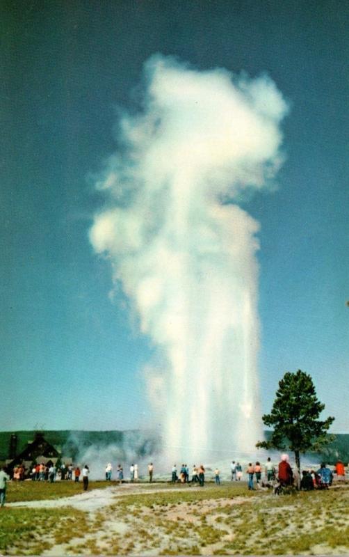 Yellowstone National Park Old Faithful Geyser