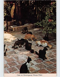 Postcard Cats on Hemingway House Patio, Key West, Florida