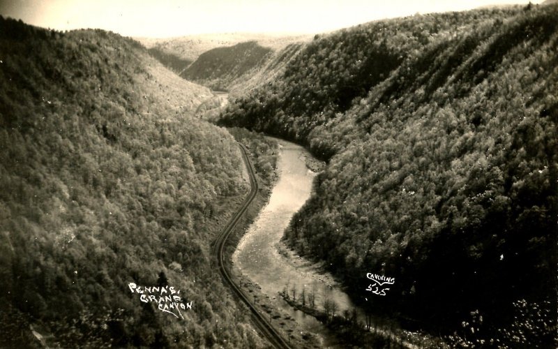 PA - Grand Canyon. View from Colton Point     *RPPC