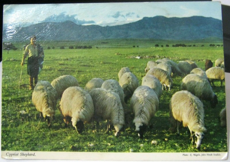 Cyprus Cypriot Shepherd - unposted foxed