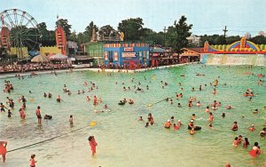 Palisades Amusement Park NJ World's Largest Salt Water Pool, Postcard