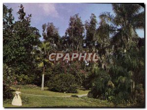 Beautiful Modern Postcard Cypress Gardens Florida