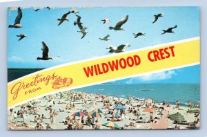 Dual View Banner Greetings Wildwood Crest New Jersey NJ UNP Chrome Postcard F19