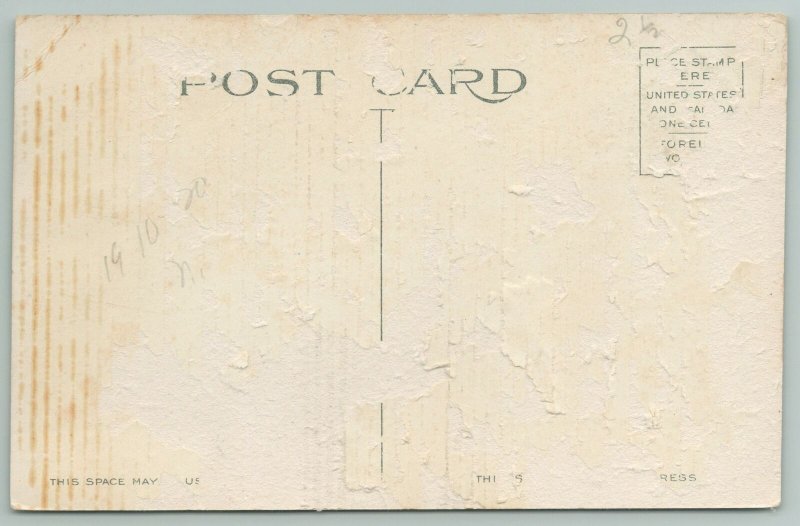 Bridgeport Connecticut~Birdseye Downtown~c1910 Postcard