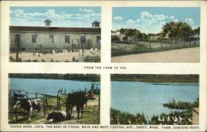 Onset Cape Cod Young Bros Caf‚ From the Farm to You Sawyers Road Postcard