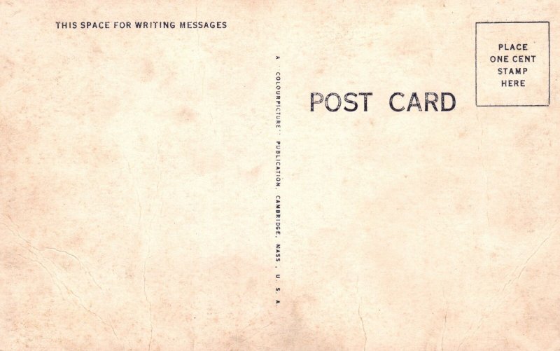 Vintage Postcard Pin This In Your Hat No Monkey Business Around Here Comic