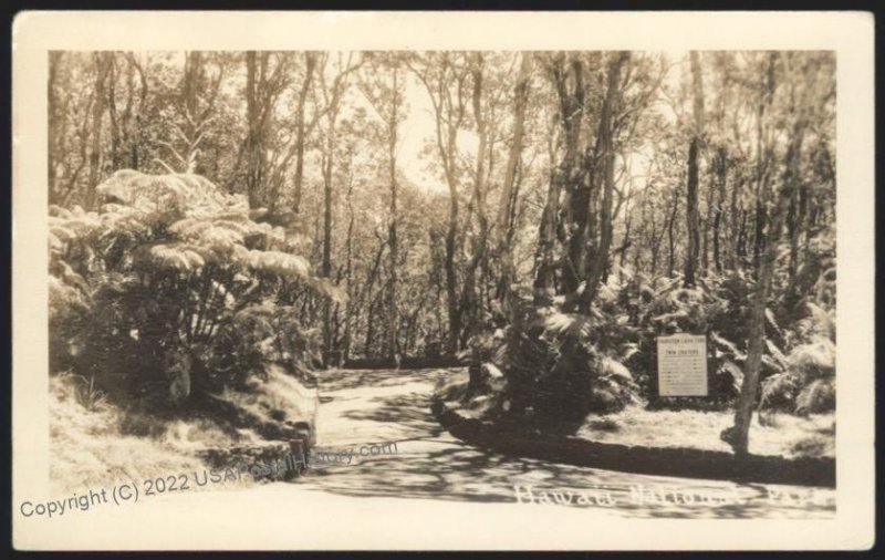 Hawaii National Park USA  RPPC UNUSED 109100