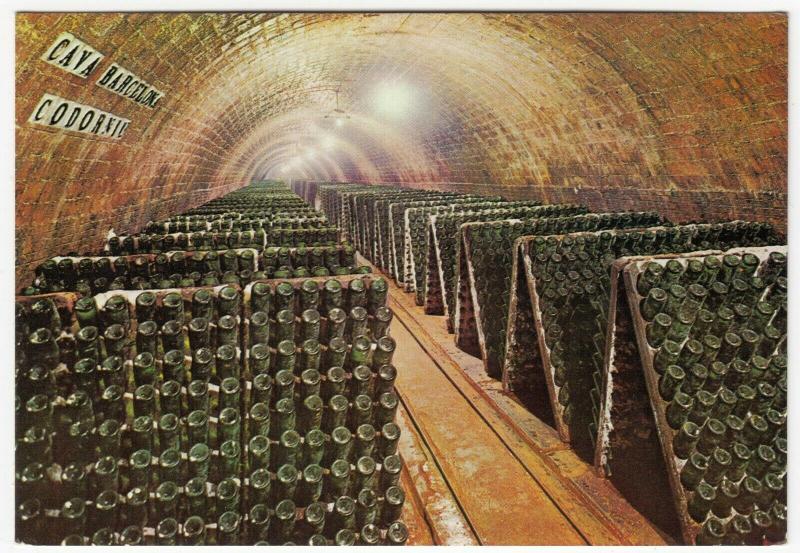 Spain; Cavas Codorniu, Bottles In The Racks PPC, Unposted, c 1970's