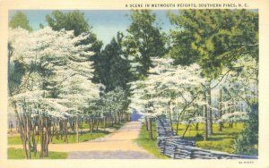 Weymouth Heights, Southern Pines NC 1941 Linen Postcard Used