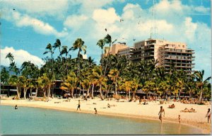 Hilton Hawaiian Village Waikiki Beach Tropical Trees Visitors Sand Postcard PM 