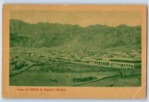 Aden Governorate Yemen Postcard View of ADEN & Camel's Market c1920's