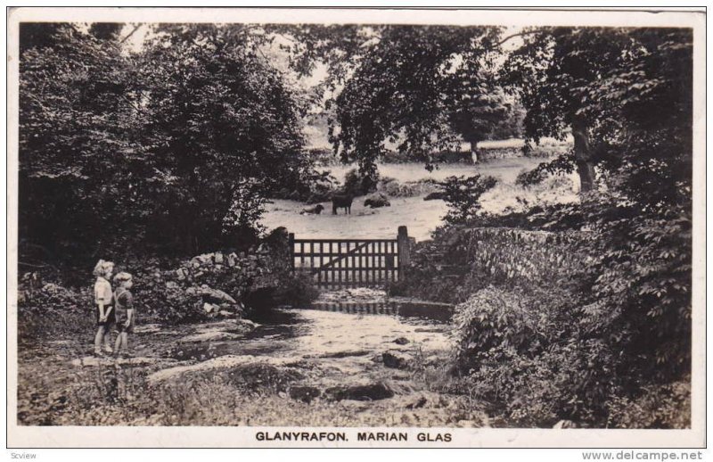 RP; Children  creekside, watching cows in the pasture, Glanyrafon, Marian Gla...