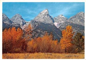 Grand Teton National Park - Wyoming