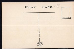 Ontario ~ WINDSOR Ambassador Bridge PECO - White Border