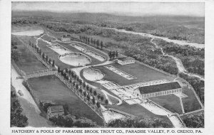 Cresco Pennsylvania Paradise Brook Trust Hatchery and Pools Postcard AA82893