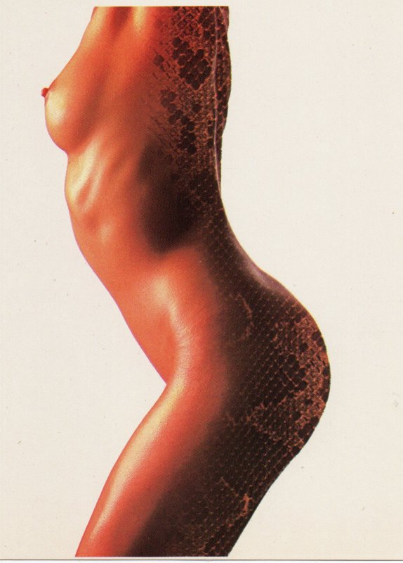 Snakeskin Nude Female Enhanced Photo Postcard ©1980 Jan Cobb Americards 5x7