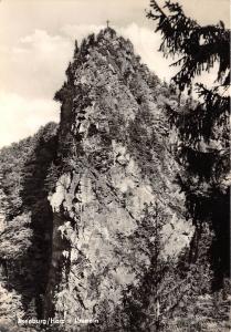 BG31473 ilsenburg harz  germany CPSM 14.5x10cm